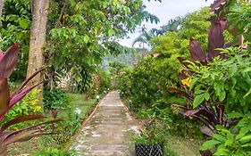 The Travelers Friend